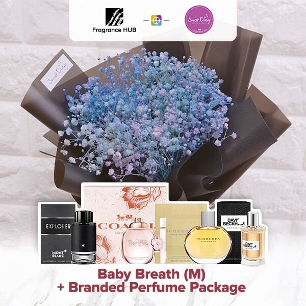 Baby Breath (M Size) + Fragrance Hub Branded Perfume (By: Sweet Diary from Puchong)
