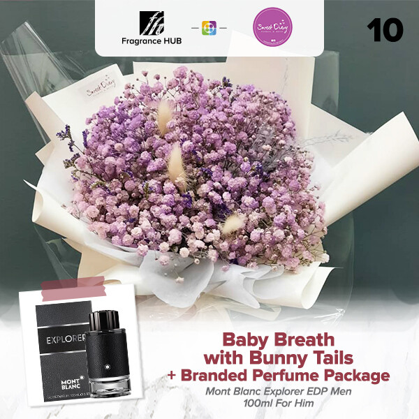 Baby Breath with Bunny Tails (S Size)  + Fragrance Hub Branded Perfume (By: Sweet Diary from Puchong)