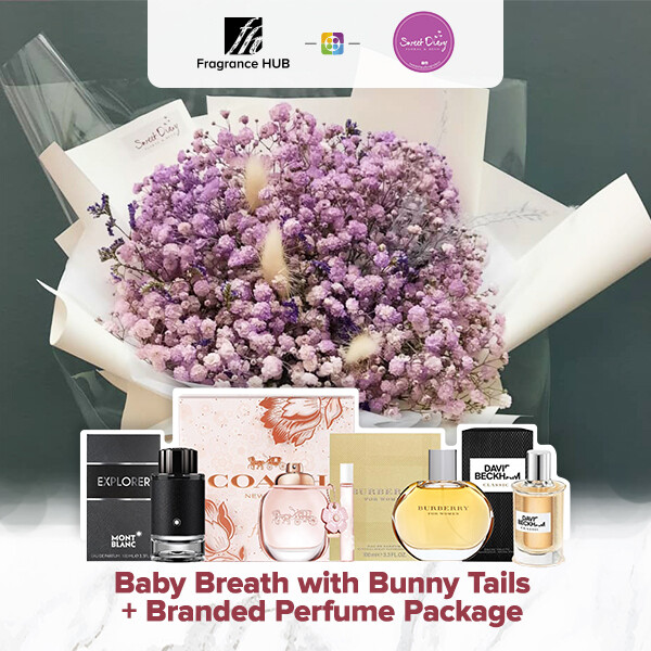 Baby Breath with Bunny Tails (S Size)  + Fragrance Hub Branded Perfume (By: Sweet Diary from Puchong)