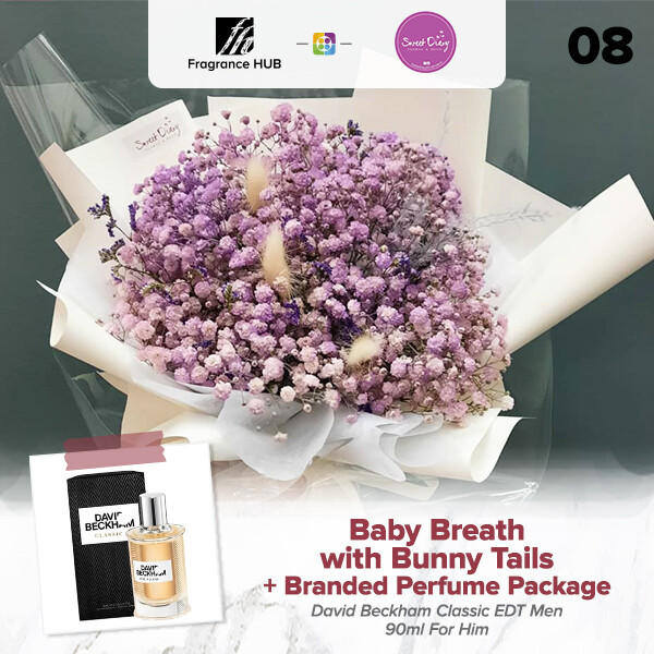 Baby Breath with Bunny Tails (S Size)  + Fragrance Hub Branded Perfume (By: Sweet Diary from Puchong)