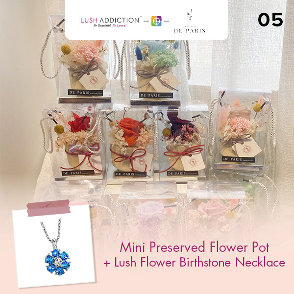 Mini Preserved Flower Pot + Lush Addiction Necklace (By: De Paris from Pulau Pinang)