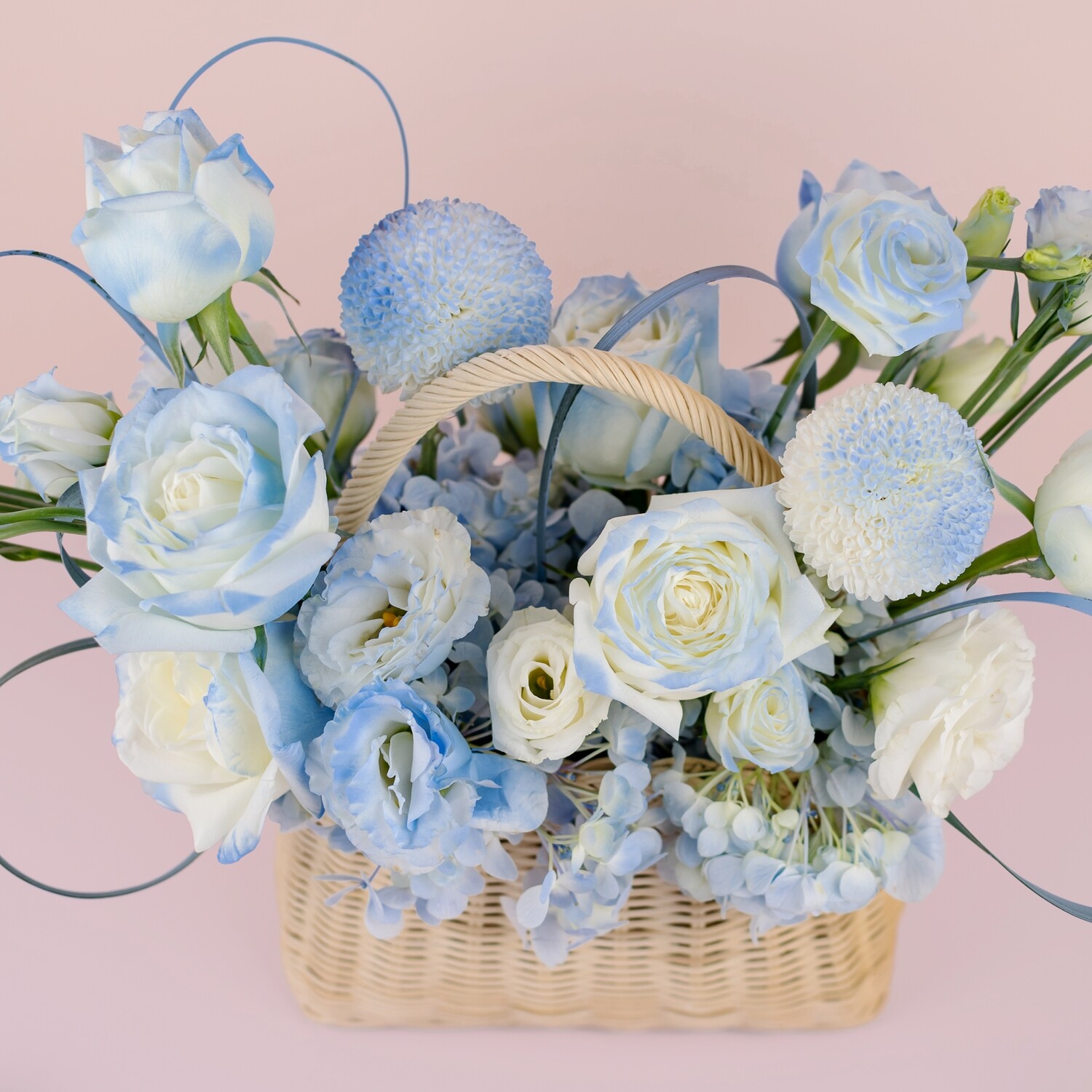 Acquaria (Flower Basket) (By: Bull &amp; Rabbit from Kuchai Lama)