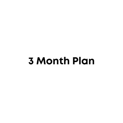3 Month Plan