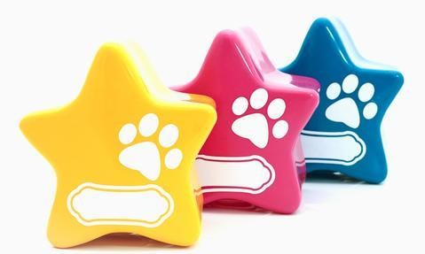 Pet Star Urn