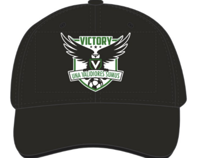 Victory Fitted Cap