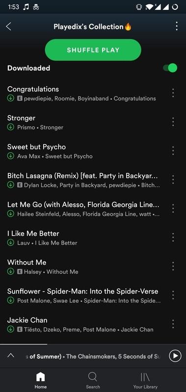 Spotify Premium Account