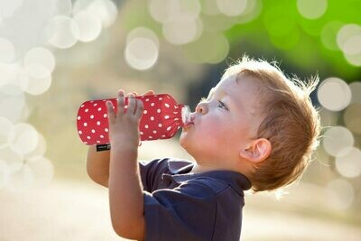 0.3 Liter Flasche ovale Form