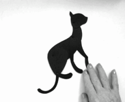 Cat 2 / Кот 2