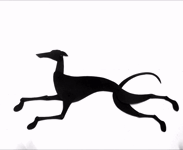 Dog / Борзая
