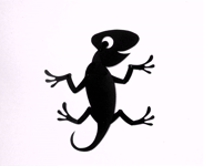 Salamander / Саламандра