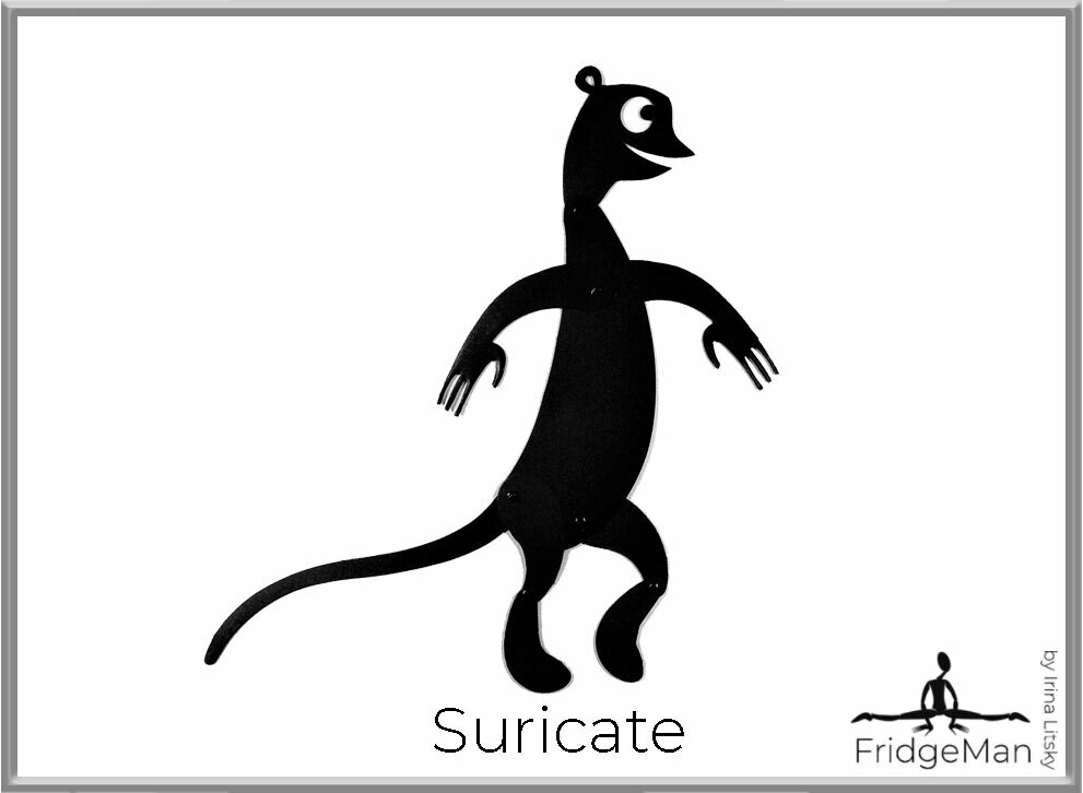 Suricate / Сурикат