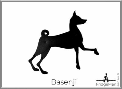 Basenji / Басенджи