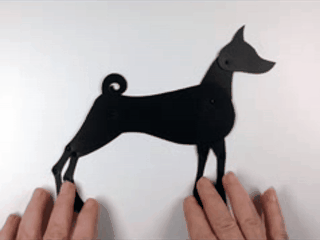 Basenji / Басенджи
