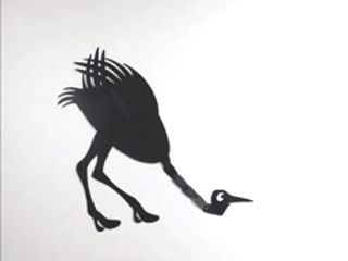 Ostrich / Страус