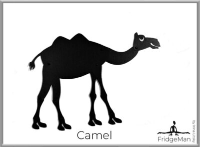 Camel / Верблюд