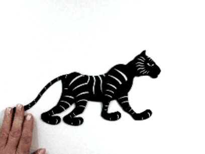 Tiger  3 / Тигр 3 ‍