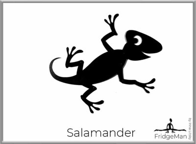 Salamander / Саламандра