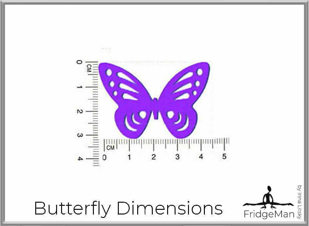 Butterfly  / Бабочка