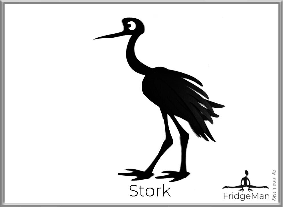 Stork  / Аист