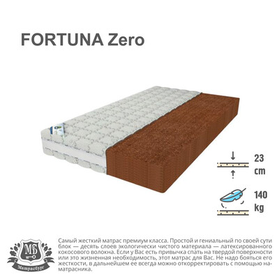 FORTUNE Zero