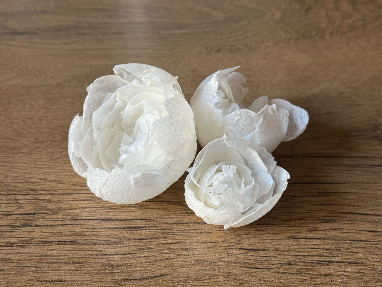 Півонії з вафельного паперу білі, 3 шт.