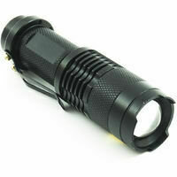 TORCIA CHARLIE RICAR