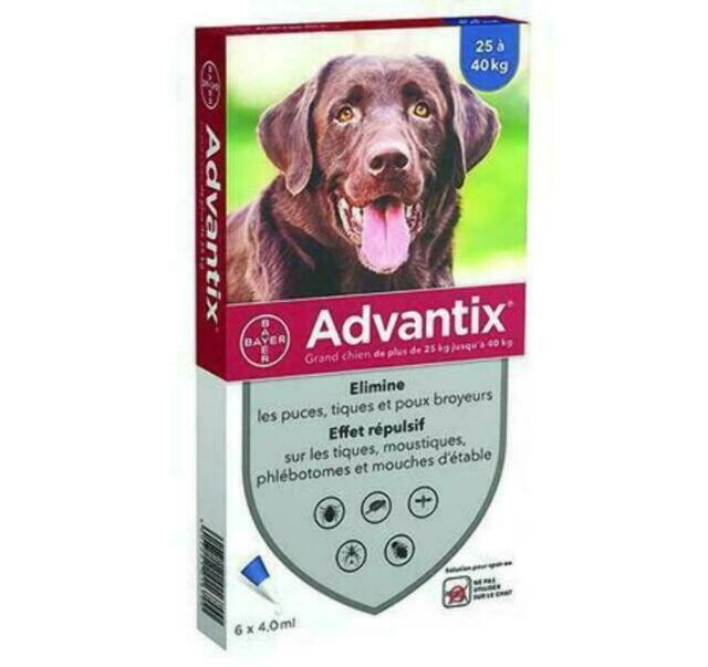 BAYER ADVANTIX SPOT ON CANI KG.25 ED OLTRE
