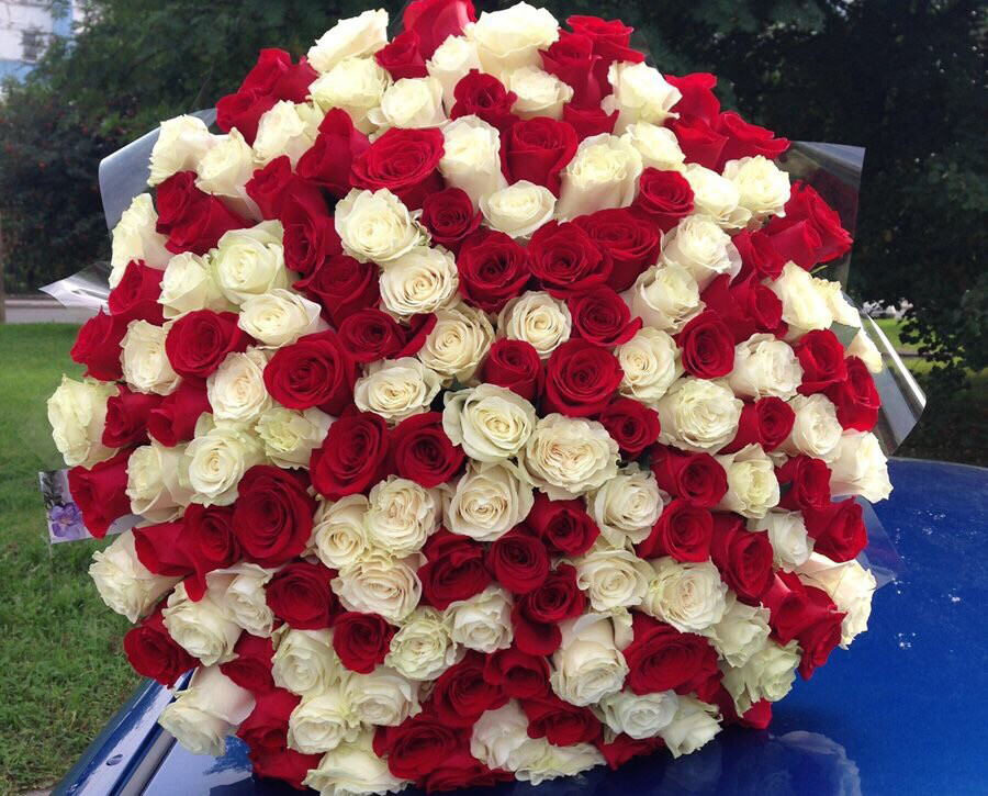 101 Rose Mix Red White