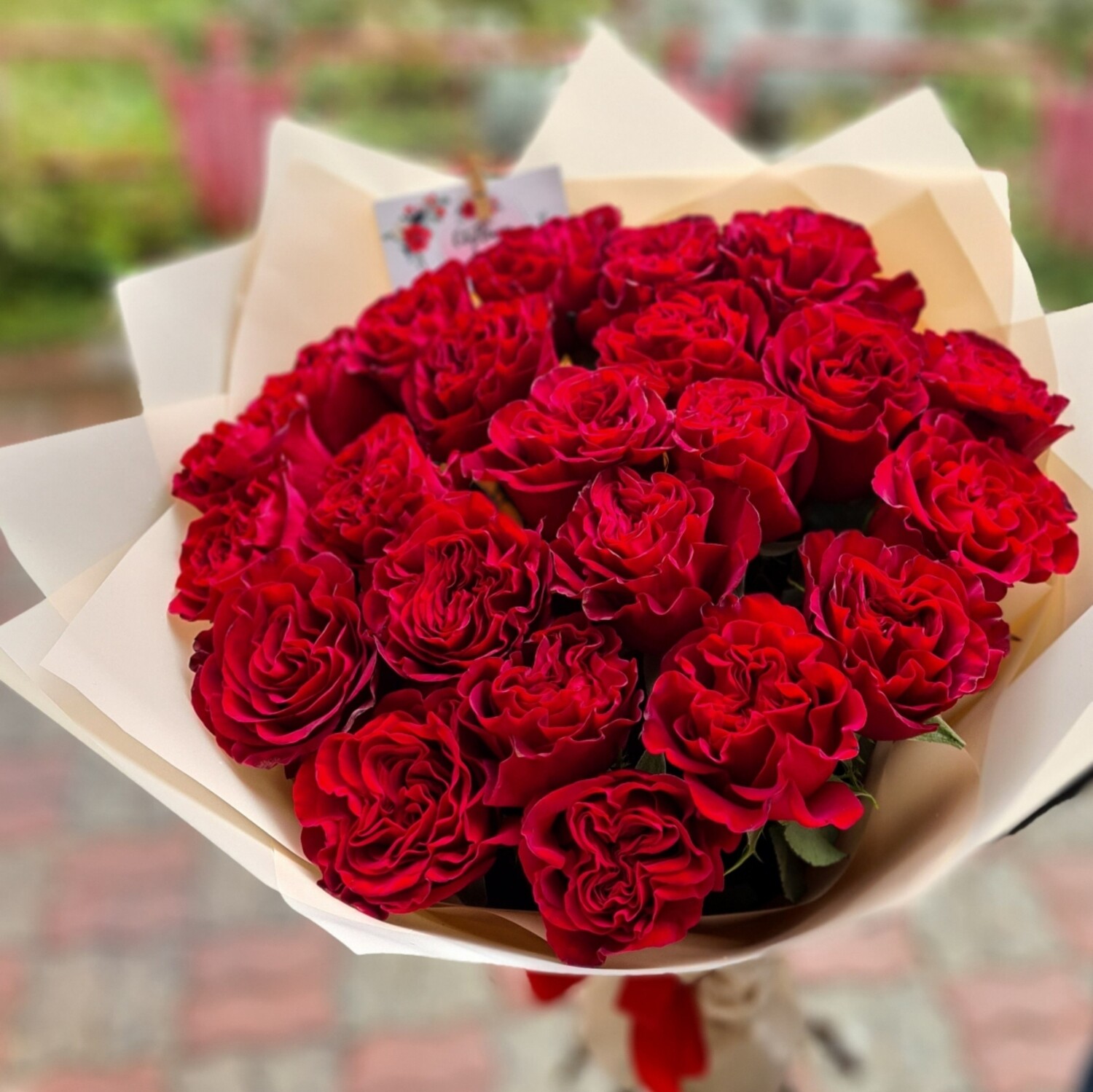 Букет из роз 25 роз Хартц пионовидные