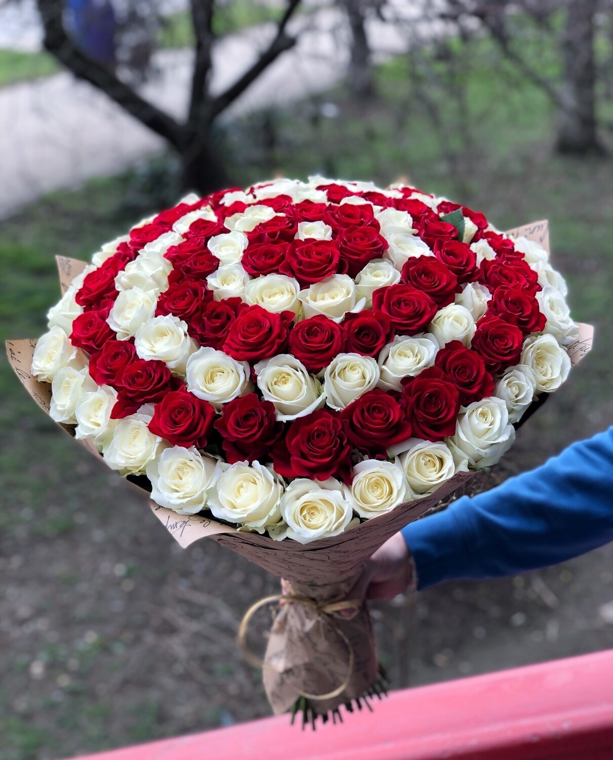 101 роза red white спираль