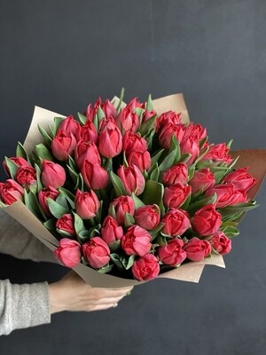 Тюльпаны красные пионовидные