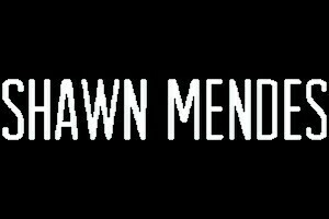 Shawn Mendez