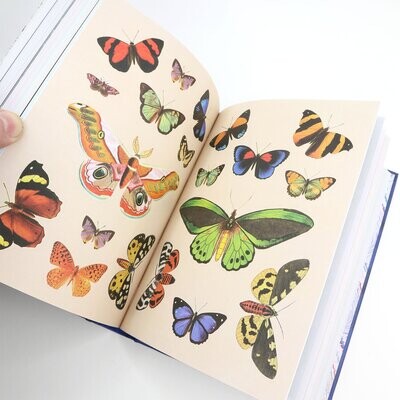 The Antiquarian Sticker Book - Victorian