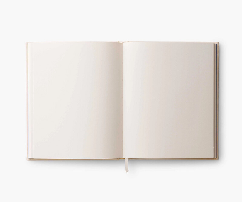 Sketchbook - Curio
