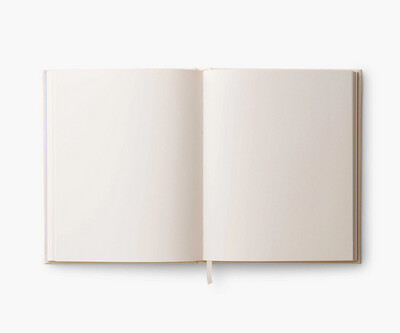 Sketchbook - Curio