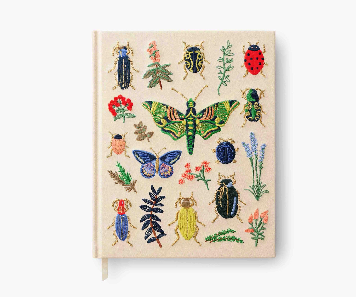 Sketchbook - Curio