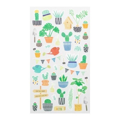 Marche - Cactus