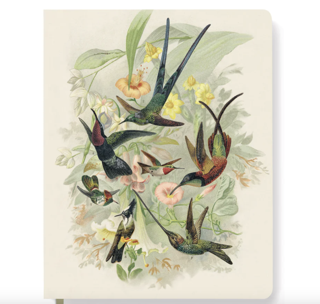 Hummingbirds - Journal