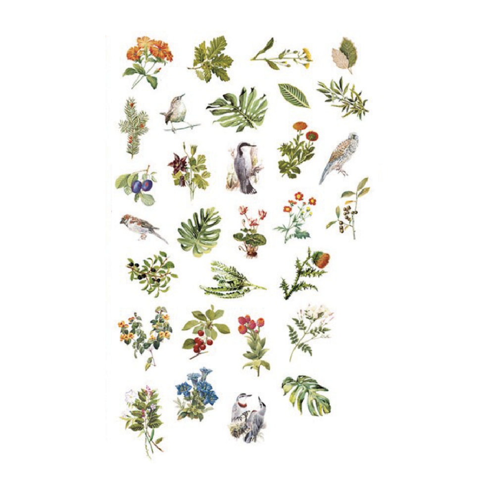 Vellum Stickers  - Tropico