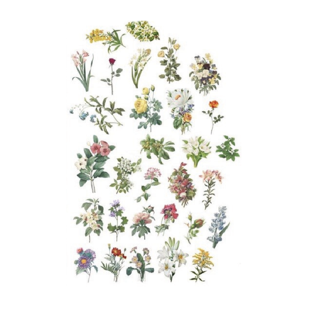 Vellum Stickers  - Jardin