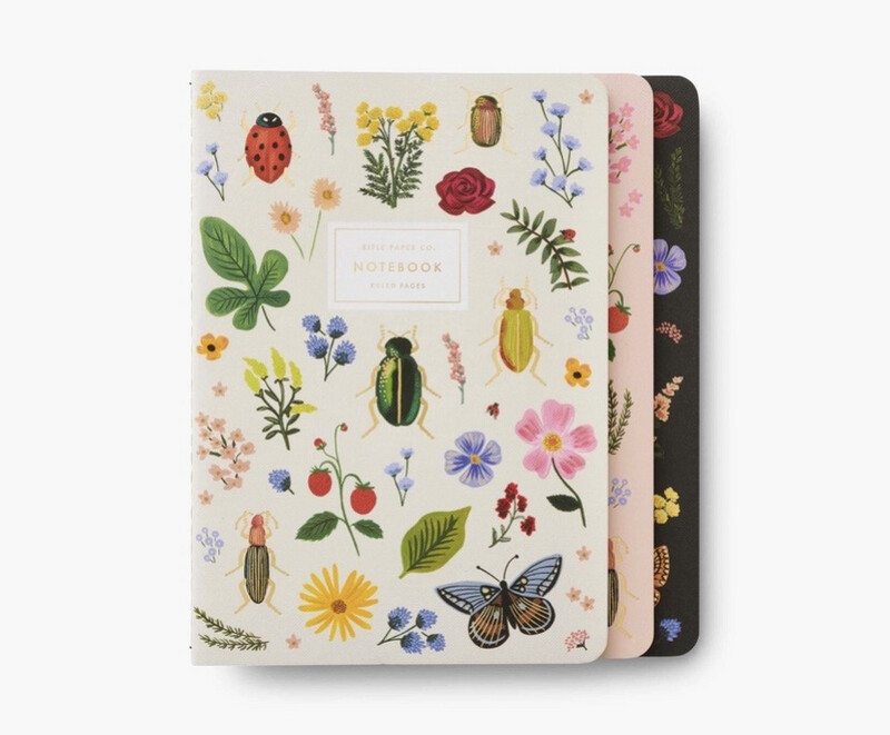 Set 3 cuadernos - Curio
