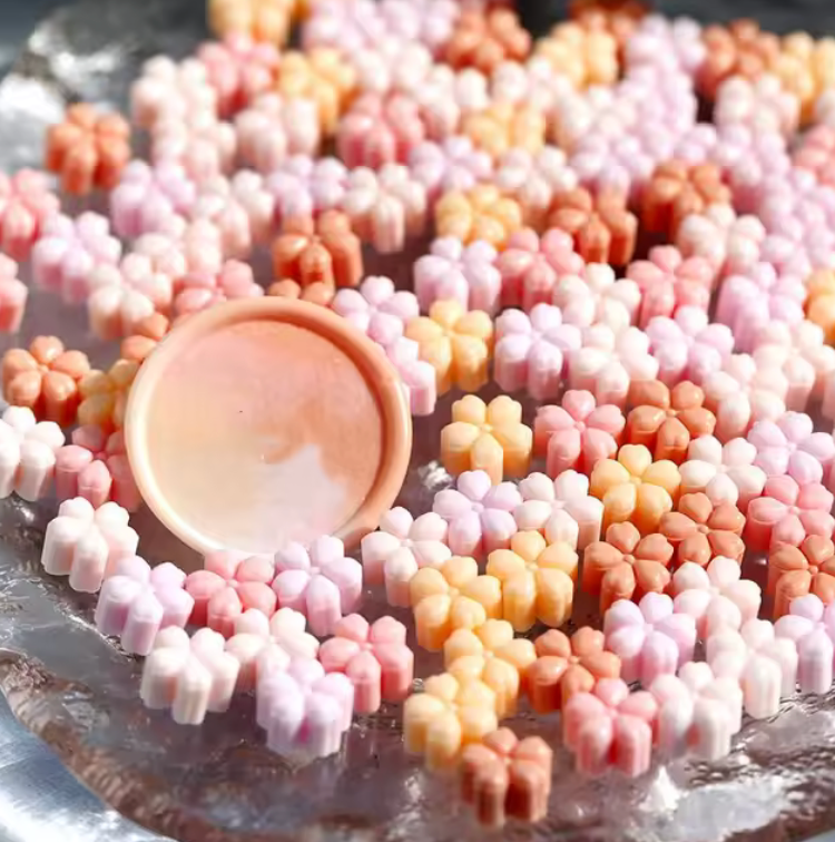 Pastillas de cera - Salmon