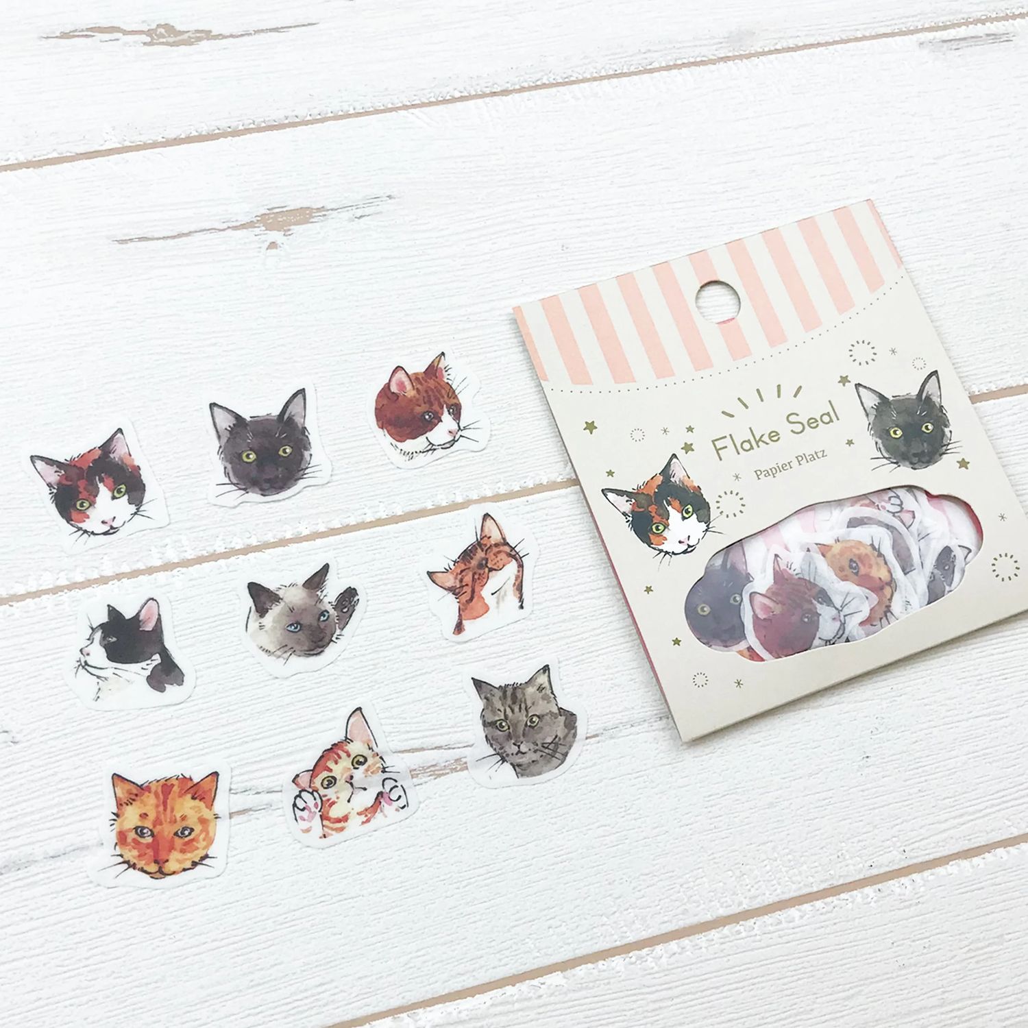 Yumi Imai (Ponchise) Cats