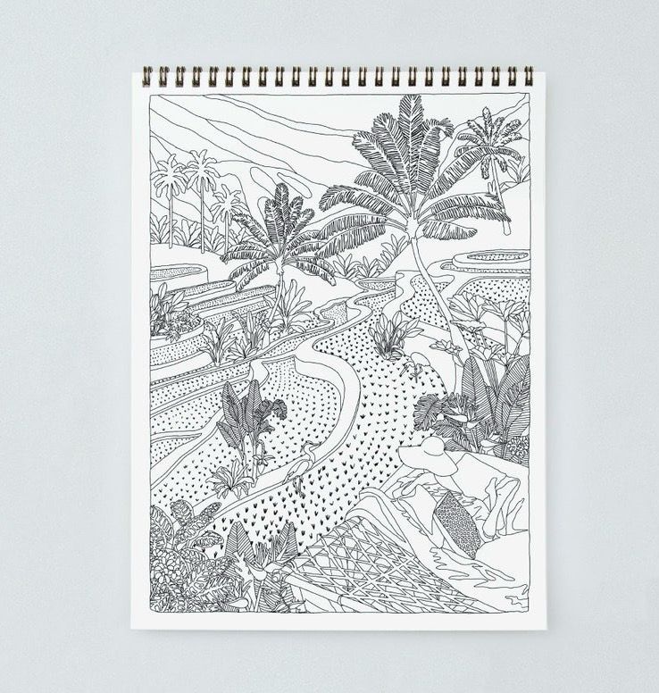 Coloring Book - Cactus &amp; Plants
