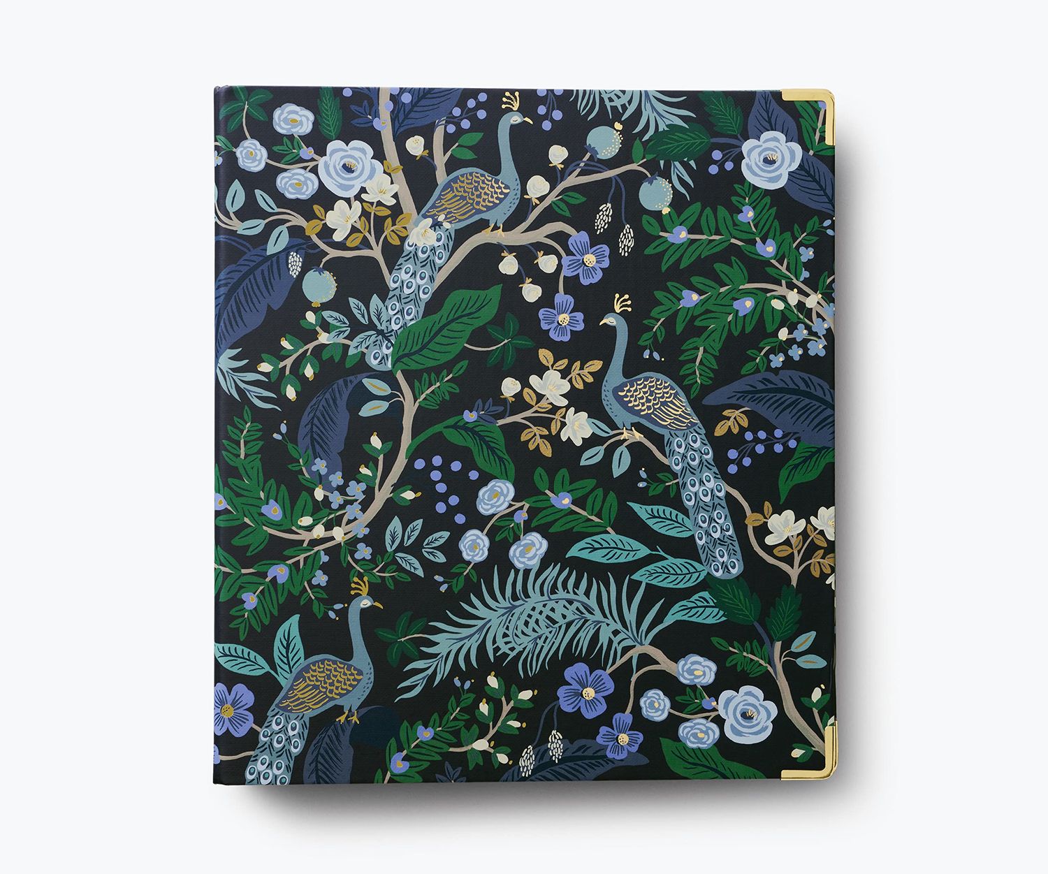 Binder - Peacok