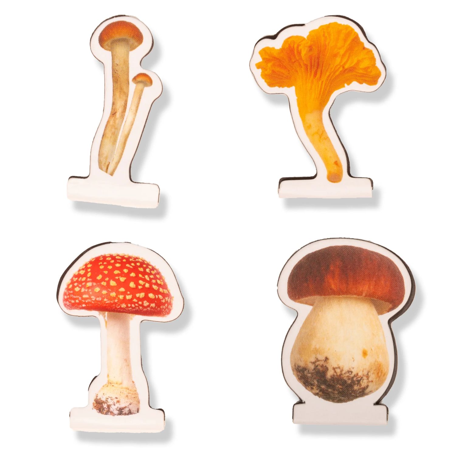 Separador de libro magnético Mushrooms
