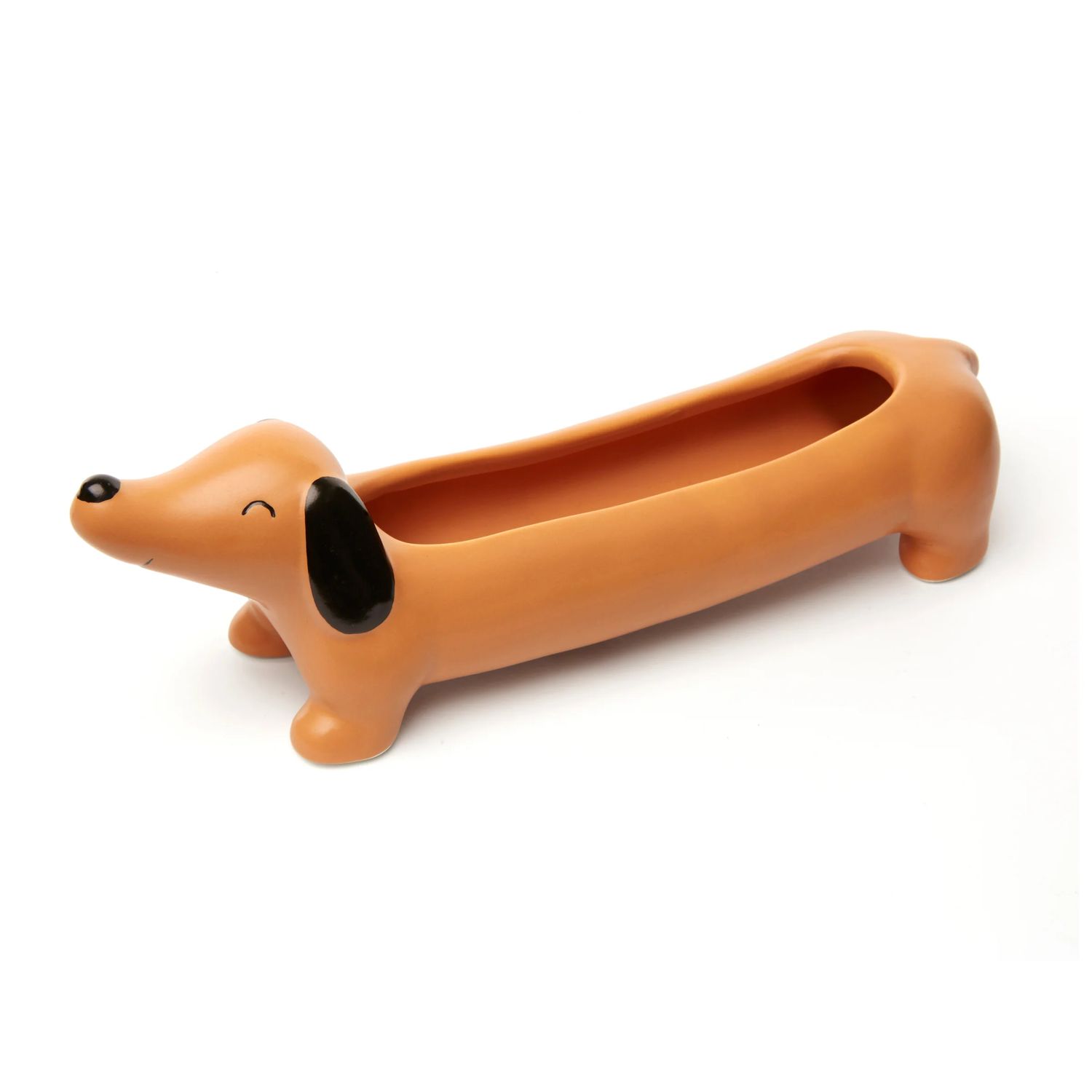Base Dachshund