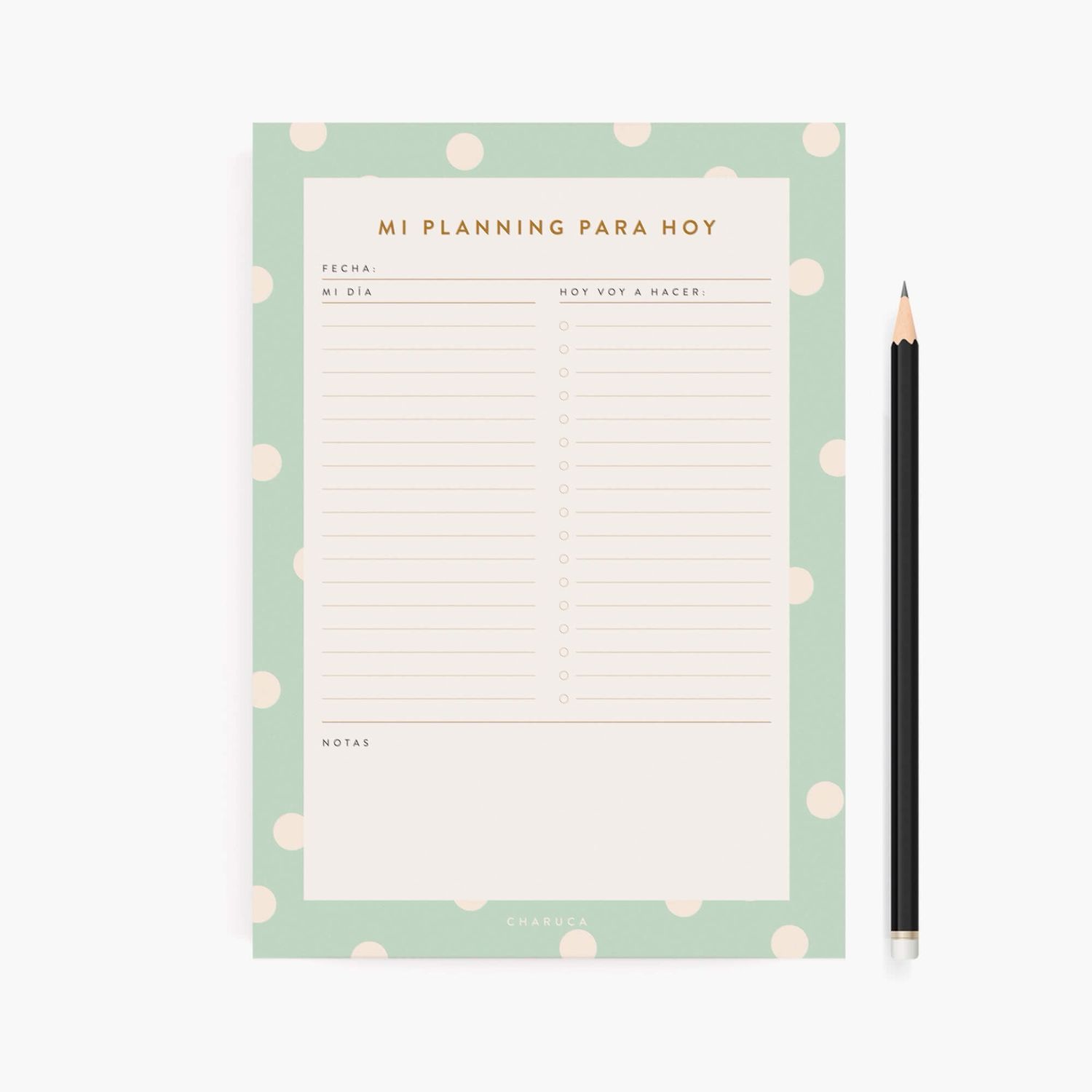 Planificador diario. Mint