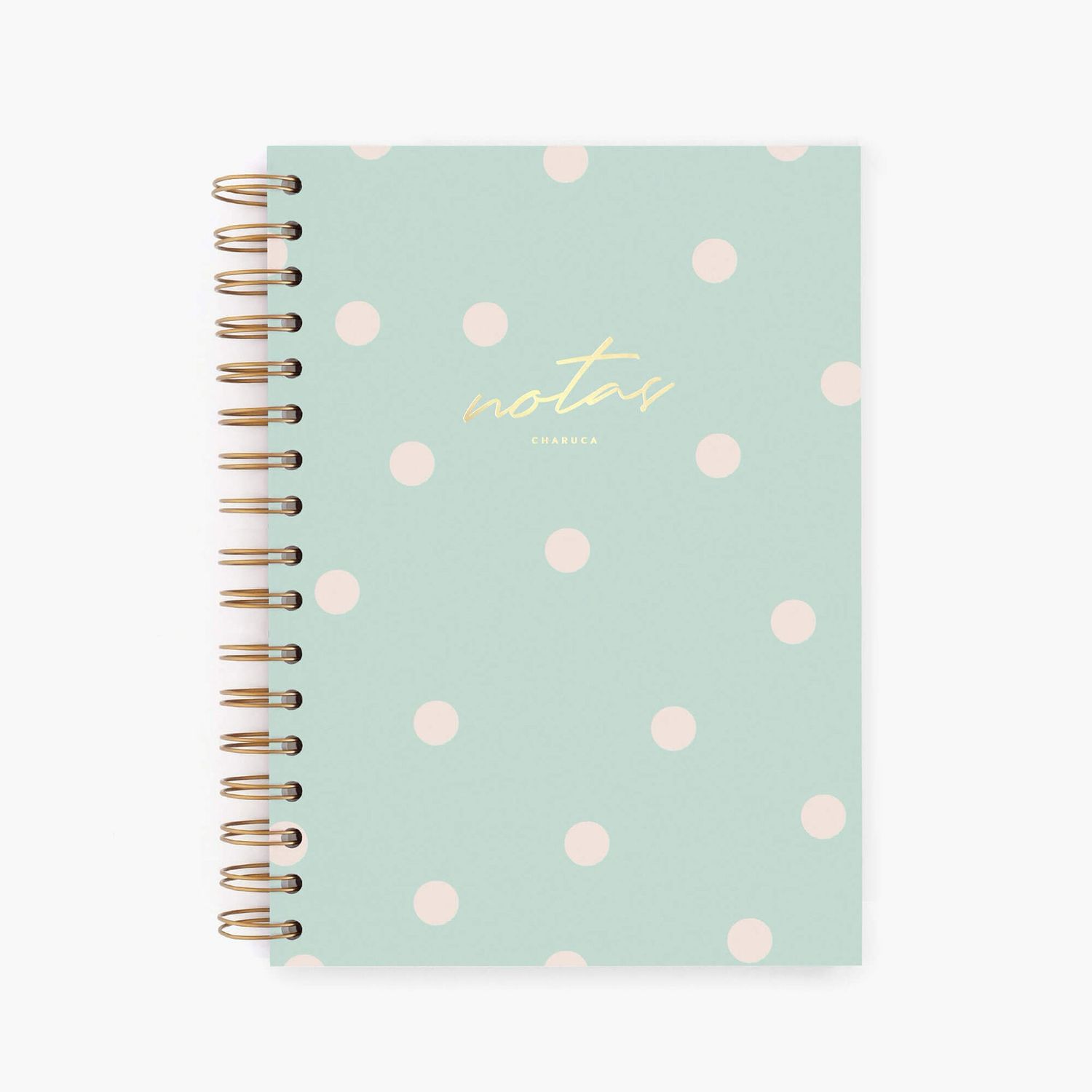 Cuaderno mediano. Mint