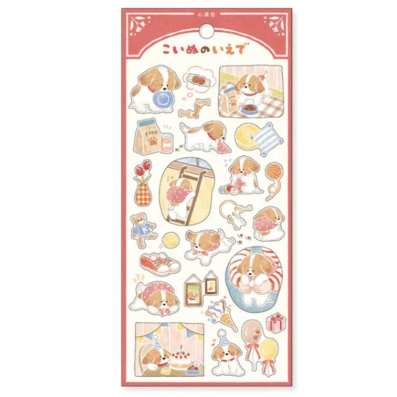 Shinpasha Chiens Curieux